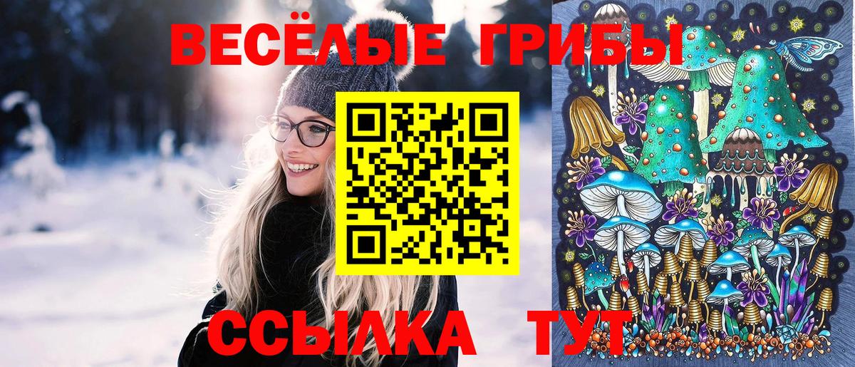 Котельники  Галлюциногенные грибы MAGIC MUSHROOMS  Вход с VPN  Галлюциногенные грибы ЛСД 